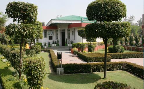 Gallery image 9